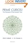 Prime Curios!: The Dictionary of Prime Number Trivia