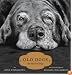 Old Dogs: Are the Best Dogs