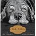 Old Dogs: Are the Best Dogs