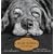 Old Dogs: Are the Best Dogs