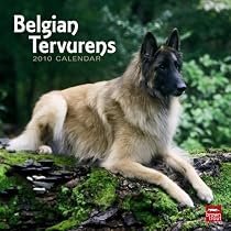 Belgian Tervurens 2010 Square Wall (Multilingual Edition)