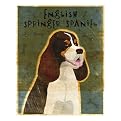 English Springer Spaniel (tri-color) framed print - John Golden 12x15