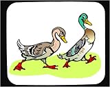 Mouse Pad with animals, ducks, mallard, birds