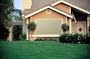Coolaro Premier Series Sun Shades - Desert Sand