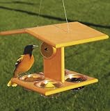 Four Place Dish Feeder 12 x 9 x 8-1/2 high