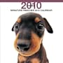 Miniature Pinscher 2010 Square Wall ARTLIST