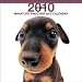 Miniature Pinscher 2010 Square Wall ARTLIST
