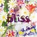 Click here to Compare Prices of Bliss