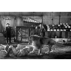 Little Rascals Actors Star in Peck's Bad Boy with the Circus DVD (1938) Featuring Tommy Kelly, Ann Gillis, Edgar Kennedy, and Benita Hume.