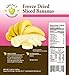 Legacy Essentials Freeze Dried Banana Chips - 15 Year Shelf Life for Emergency Survival Food Storage Supply (Quantity 1)