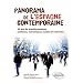 Panorama de l'Espagne contemporaine ou 30 ans de transformations politiques �conomiques et sociales