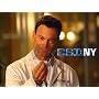 CSI: NY Season 4