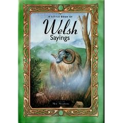 A Little Book of Welsh Sayings