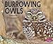 Burrowing Owls