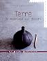Terre : Du modelage au d�cor