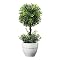 Mini Boxwood Faux Topiary - Green
