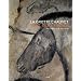La grotte Chauvet : L'art des origines