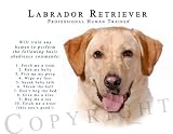 Yellow Labrador Retriever Human Trainer Mouse Pad Dog Mousepad