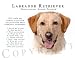 labrador19  - Labrador Retriever YELLOW Human Trainer Mouse Pad Dog