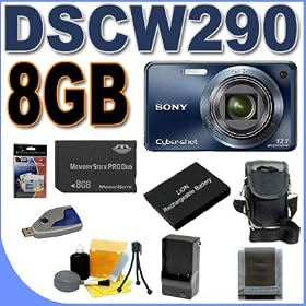 Sony Cybershot DSC-W290 12.1MP Digital Camera w/ 5x Optical Zoom and Super Steady Shot Image Stabilization (Blue) 8GB BigVALUEInc Accessory Saver NPBG1 Battery/Rapid Charger Bundle + MORE