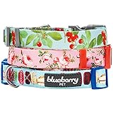 Blueberry Pet 3/8-Inch Spring Scent Inspired Floral Rose Basic Polyester Nylon Dog Collar for Puppy, X-Small, Baby Pink