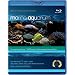 Marine Aquarium [Blu-ray]