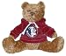 Florida State Seminoles NCAA Hoodie Bears