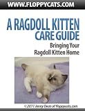 A Ragdoll Kitten Care Guide: Bringing Your Ragdoll Kitten Home