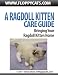 A Ragdoll Kitten Care Guide: Bringing Your Ragdoll Kitten Home