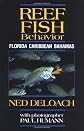 Reef Fish Behavior: Florida, Caribbean, Bahamas