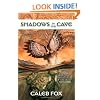 Shadows in the Cave