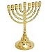 Vintage candle holder brass copper Israel 7 inches massive Hanukkah Menorah / Hanukia 9 branches from Jerusalem