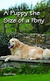 A puppy the size of a pony