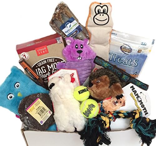 Woof! Doggie Gift Box, Treat &amp; Play, For Small Size Dogs