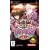 Yu-Gi-Oh! GX Tag Force 3
