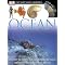 Books I use for a Kindergarten Science unit on Oceans