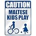 maltese9  - CAUTION MALTESE KIDS PLAY PARKING SIGN MALTA