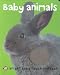 Bright Baby Touch & Feel Baby Animals (Bright Baby Touch and Feel)