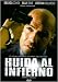 DVD : Perfect Hideout