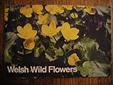 Welsh wild flowers