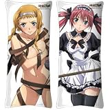 クイーンズブレイド ロングクッション 全2種セットイメージ