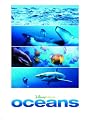 play video on Amazon Instant Video