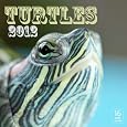 Turtles Calendars
