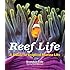 Reef Life: A Guide to Tropical Marine Life