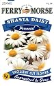Ferry-Morse 1141 Shasta Daisy Perennial Flower Seeds, Alaska (250 Milligram Packet)
