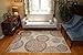 Feraghan/New City Contemporary Modern Flowers Wool Area Rug, 2' x 3', Brown/Beige
