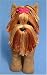 yorkshire terrier - Yorkshire Terrier Pattern