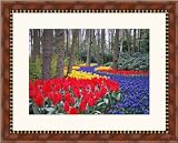 Picture Frame Walnut .. 1.5'' wide