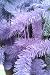 Lavender 24in Work Wreath