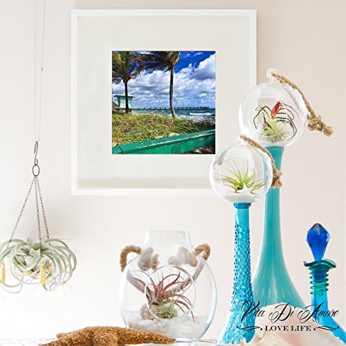 Dania Beach Florida Print